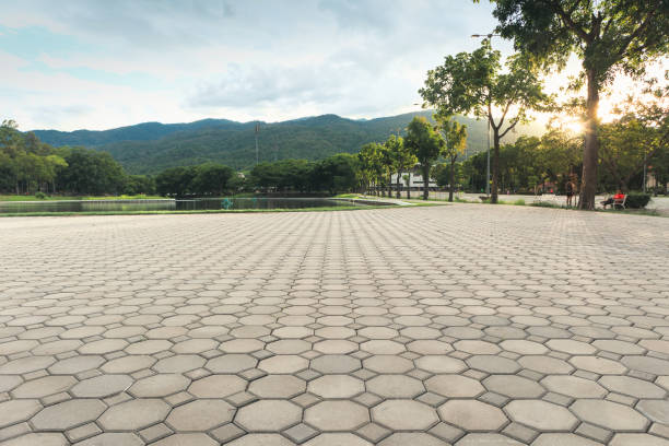 Best Residential Driveway Paver Services  in Ritzville, WA